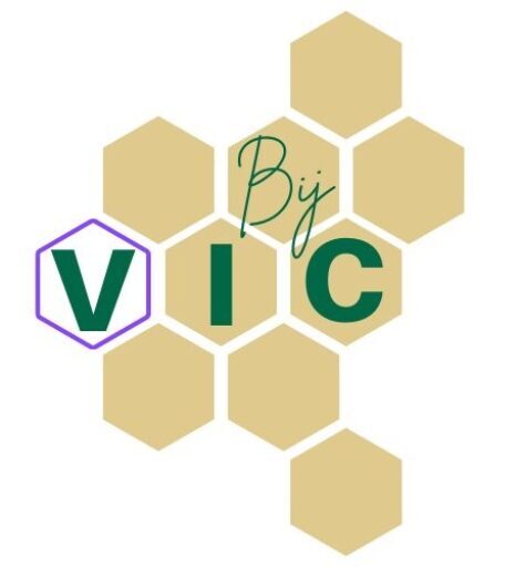 logo bij vic